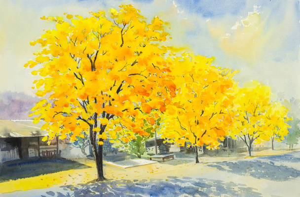 aquarela pintura amarelo, cor laranja de flores de árvore dourada
. - Foto, Imagem