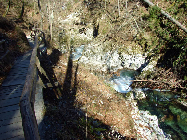 Vintgar Gorge or Bled Gorge and Radovna River (Soteska Vintgar ali Blejski vintgar in reka Radovna) - Zgornje Gorje, Slovenia - 写真・画像