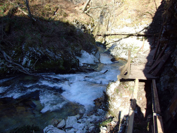 Φαράγγι Vintgar ή Φαράγγι Bled και Ποταμός Radovna (Soteska Vintgar ali Blejski vintgar in reka Radovna) - Zgornje Gorje, Σλοβενία - Φωτογραφία, εικόνα