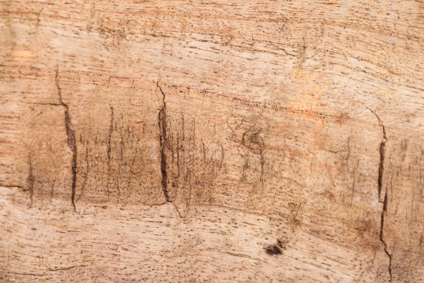 Κοντινό πλάνο του καφέ ξύλινο σανίδα υφή φόντο - Φωτογραφία, εικόνα