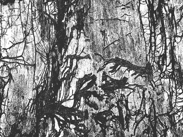 Perturbación textura de madera seca vieja. Fondo grunge blanco y negro. Ilustración vectorial
 - Vector, Imagen