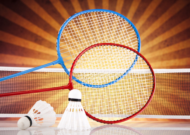 Navetta su racchetta badminton
 - Foto, immagini