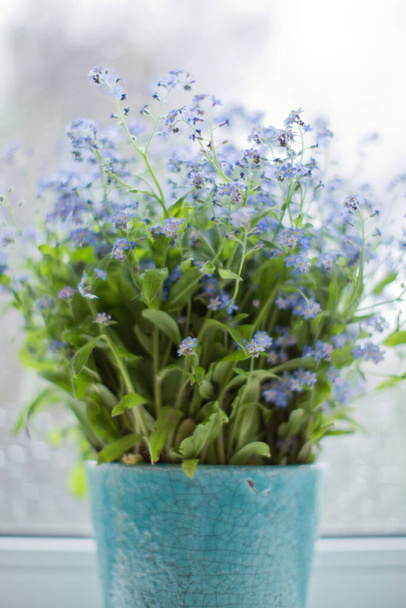 Pequenas flores azuis esquecem-me não perto da janela com gotas de chuva
. - Foto, Imagem