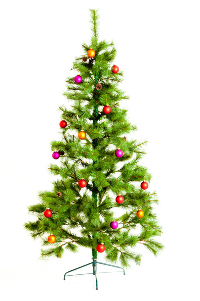 christmas tree isolated on white - Foto, immagini