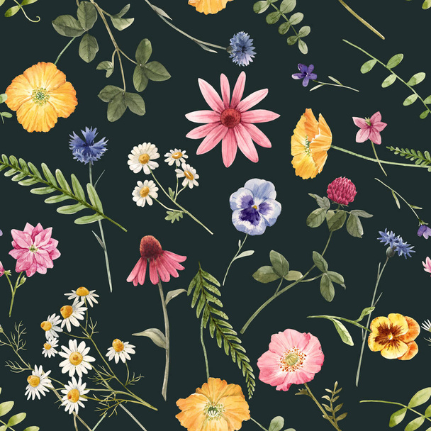 Beautiful floral summer seamless pattern with watercolor hand drawn field wild flowers. Stock illustration. - Φωτογραφία, εικόνα