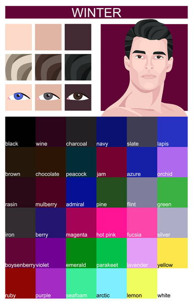 Stock Vector Color Guide mit Farbnamen. Augen, Haut, Haarfarbe. Saisonale Farbanalysepalette für den winterlichen Typ des männlichen Aussehens. Gesicht des jungen Mannes - Vektor, Bild