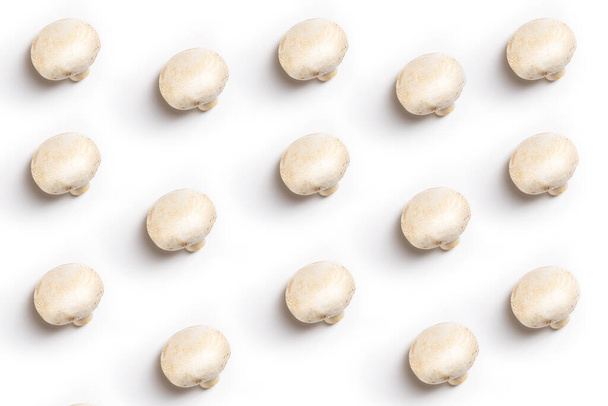 collage of white mushrooms champignons isolated on white background - Photo, image