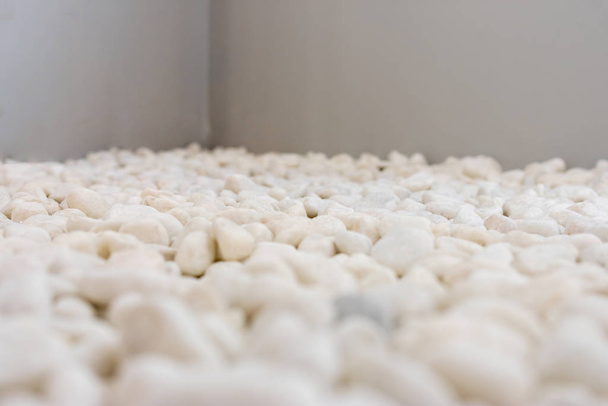 podłoga zen ozdobiona małymi białymi kamieniami - Zdjęcie, obraz