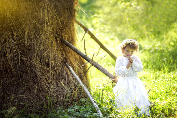Full length portrait of 5 years old curly beautiful girl in white traditional ukrainian embroidery dress sniffing flower near haystack with chamomile wreath on head in Carpathian mountains, Ukraine. - Photo, Image