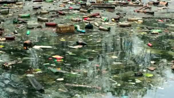 A large amount of trash polluting our waters - Footage, Video