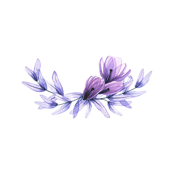 Composição de aquarela folhas de eucalipto transparentes, flores de croco. Ilustração desenhada à mão isolada sobre branco. Buquê floral é perfeito para cartão de saudação, convite de casamento, logotipo, cartaz
 - Foto, Imagem