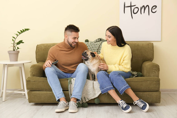 Jovem casal com cão assistindo TV enquanto sentado no sofá em casa
 - Foto, Imagem
