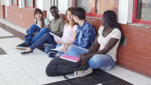 beeldmateriaal van studenten die studeren op de vloer van de hal op de middelbare school - Video