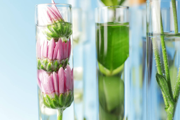 Test tubes with plants on color background, closeup - Fotó, kép