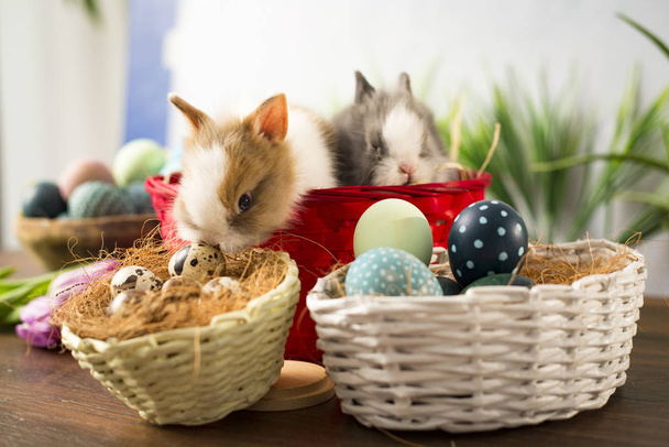 Húsvéti nyuszi kosárban színes tojásokkal, cukorkákkal és tulipánokkal a fa asztalon. Húsvéti ünnepi dekorációk, húsvéti koncepció háttér. - Fotó, kép
