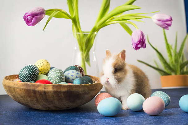 Пасхальный кролик в корзине с красочными яйцами и тюльпанами на деревянном столе. Пасхальные украшения, Пасха концепция фона
. - Фото, изображение