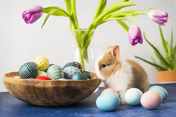 Velikonoční zajíček v košíku s barevnými vejci a tulipány na dřevěném stole. Velikonoční prázdninové dekorace, Velikonoční koncept pozadí. - Fotografie, Obrázek