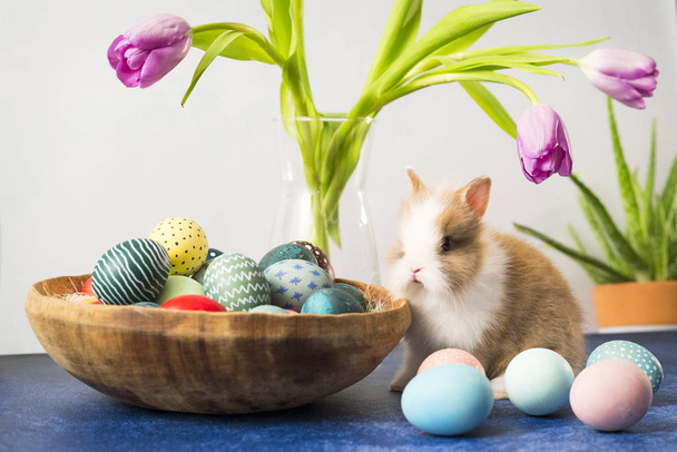 Paashaas in mand met kleurrijke eieren en tulpen op houten tafel. Pasen vakantie decoraties, Pasen concept achtergrond. - Foto, afbeelding
