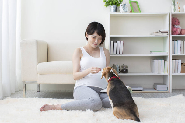 Young pregnant Asian woman playing with her dog - Foto, Imagen