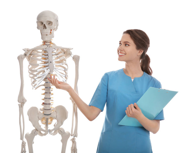 Female orthopedist with human skeleton model on white background - Foto, Imagem