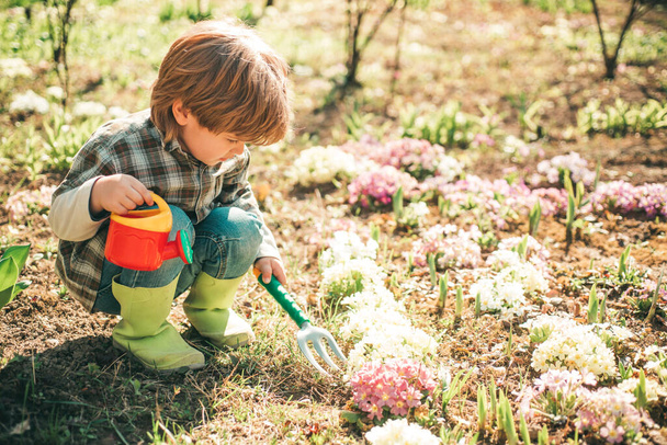Crop planting at fields. Happy childhood concept. Kid portrait on farmland. Happy little farmer having fun on spring field. - Valokuva, kuva