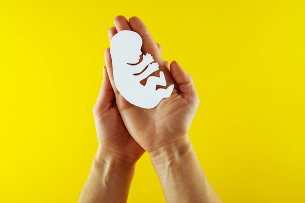 White paper embryo silhouette in woman hands.  - Φωτογραφία, εικόνα