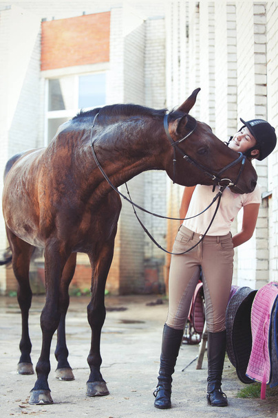 Utelias hauska kastanja hevonen kurkottaa suudella valmentajalta
 - Valokuva, kuva