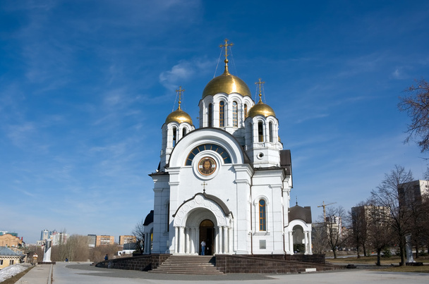St. georgy cathedral - Fotografie, Obrázek