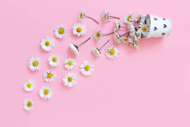 Composición de primavera con margaritas blancas cayendo de un cubo
 - Foto, imagen