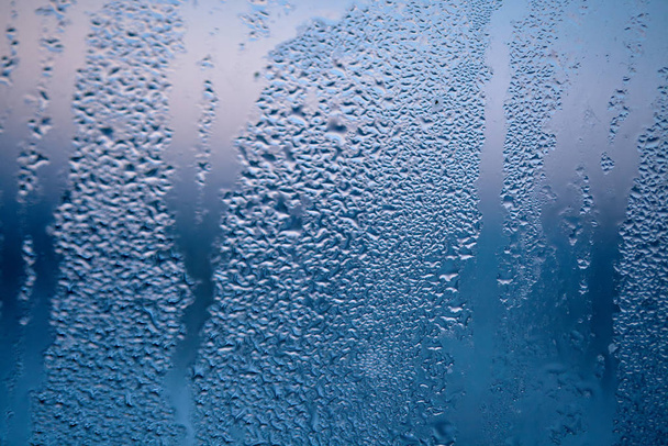 Gotas de vapor condensado, gotas de agua. Detalle de cerca de hydru
 - Foto, imagen