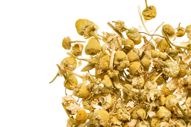 Dry flowers of a pharmaceutical chamomile are scattered on a white background - Фото, зображення