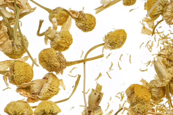 Dry flowers of a pharmaceutical chamomile are scattered on a white background - Foto, Imagem