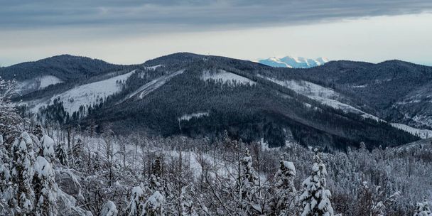 Kysucke Beskydy néhány csúcsa Zapadne Tatry hegyek a háttérben Kykula hegy felett Oscadnica falu szlovák - lengyel határok télen - Fotó, kép