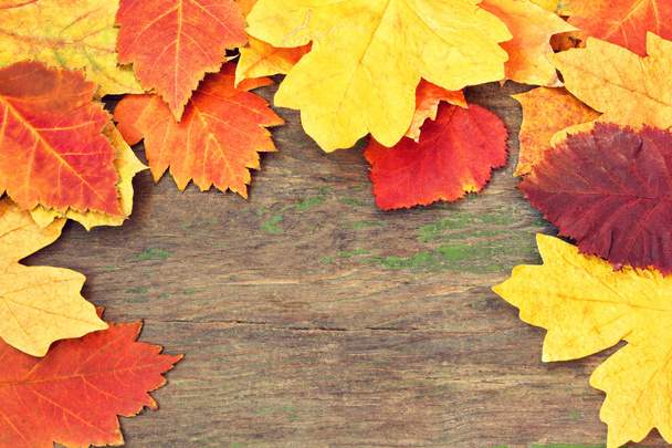 Autumnal leaves on a wooden texture - Φωτογραφία, εικόνα