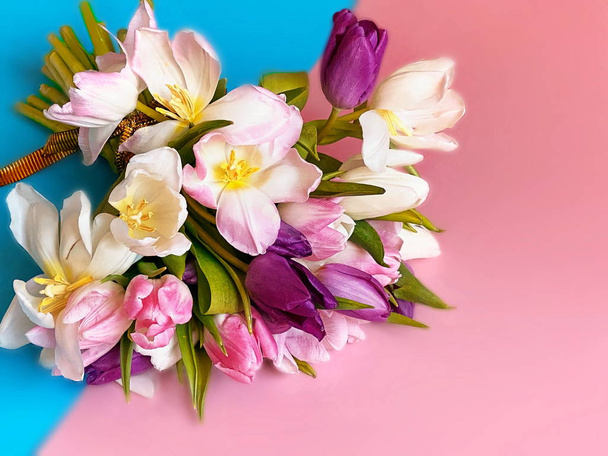 tulipán flores coloridas ramo festivo floral sobre fondo blanco rosa azul, día de San Valentín o día de las mujeres en los mejores deseos amor cotizaciones copia plantilla de espacio
  - Foto, Imagen