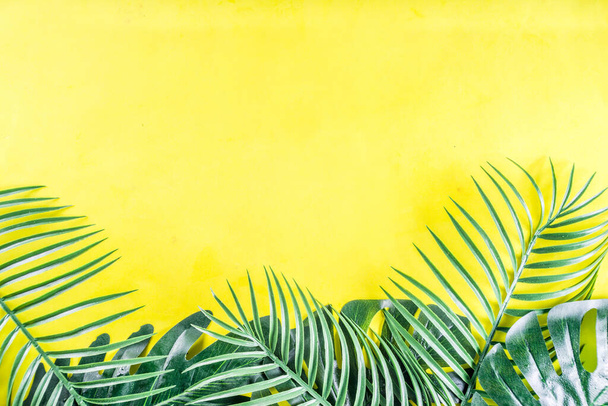 Tropical palm and monstera leaves background - Zdjęcie, obraz