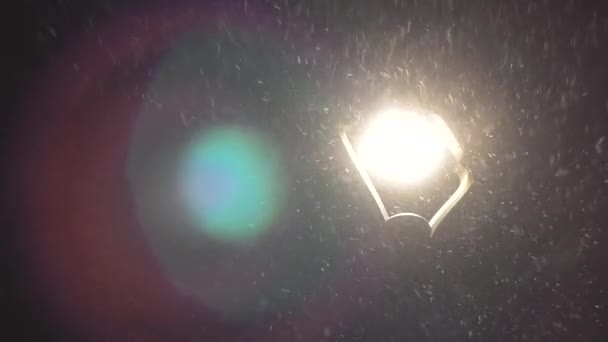 Lanterna della città nella neve cadente alla notte di Natale. Palo della lampada, con neve che cade in una tranquilla scena invernale in città
 - Filmati, video