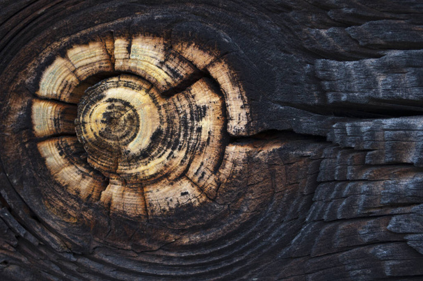 Elegante pano de fundo de madeira velha com 1knots sobre ele à esquerda
 - Foto, Imagem