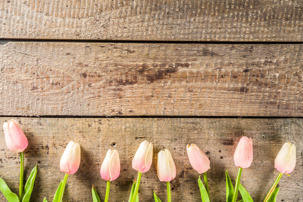 Valentine's day background with tender tulip flowers - Foto, imagen