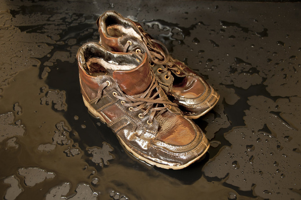 Wet shoes - Photo, Image