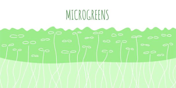 Πλάγια άποψη των microgreens για την ιστοσελίδα - Διάνυσμα, εικόνα