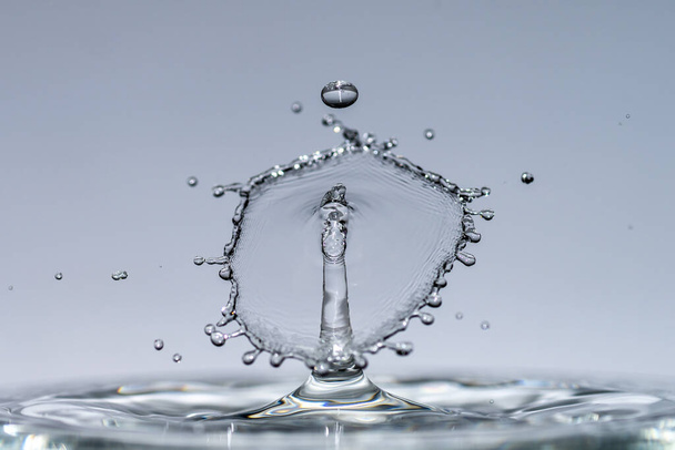 Gotas de agua caen desde una altura de agua pura y clara formando salpicaduras en forma de formas originales de paraguas, setas y coronas
 - Foto, Imagen