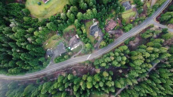 Πάνω προς τα κάτω άποψη του προαστιακού δρόμου στη μέση του δάσους και μικρά καναδικά σπίτια - Πλάνα, βίντεο