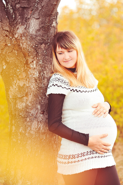 έγκυος γυναίκα που κρατά κοιλιά - Φωτογραφία, εικόνα
