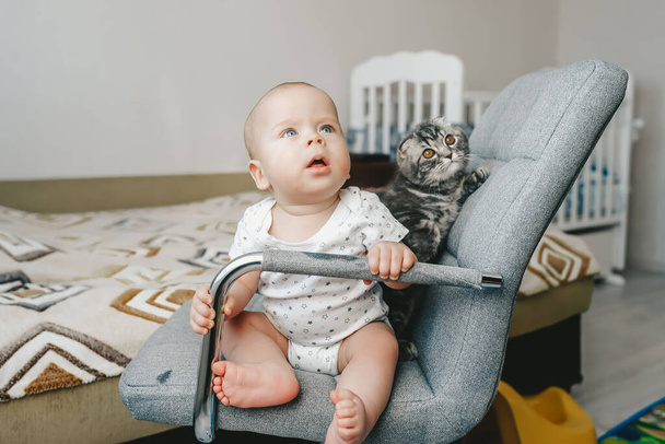 Blond jongetje met kitten zit op de stoel en kijk naar boven. - Foto, afbeelding