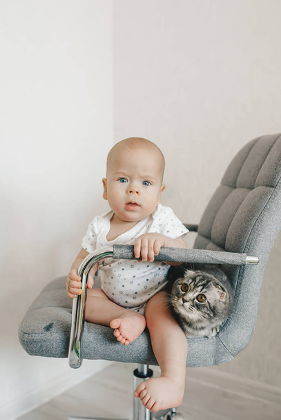 Um menino loiro e um gatinho sentado na cadeira. Gatinho escocês em uma foto
. - Foto, Imagem