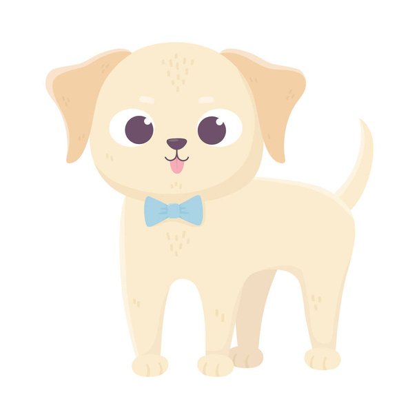 cute llittle dog standing wtih bow tie domestic cartoon animal, pets - Vektör, Görsel