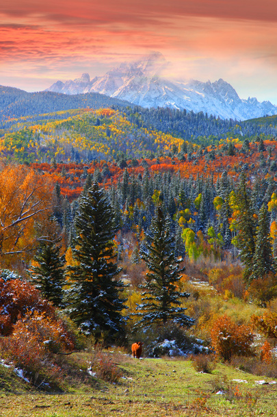 Sneffles montagne en Colorado
 - Photo, image