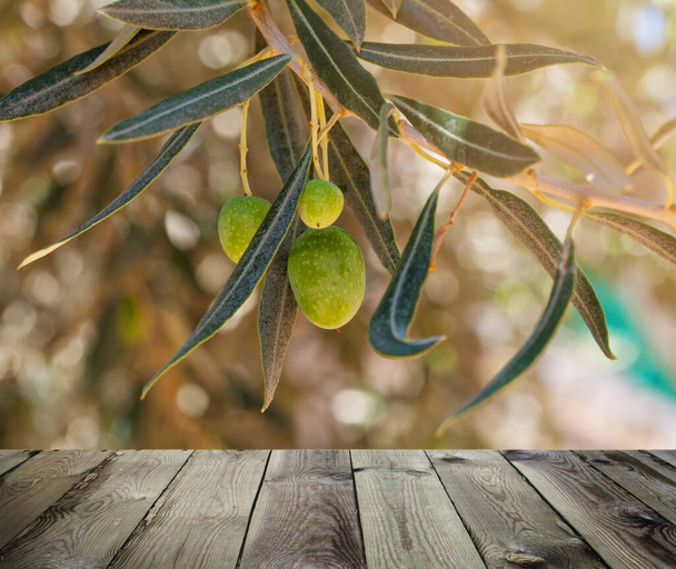 Pohled z dřevěné terasy. Olivy s listy na olivovníku.  - Fotografie, Obrázek