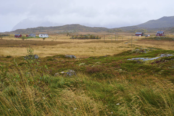 Landscape with small houses at grassland - Φωτογραφία, εικόνα